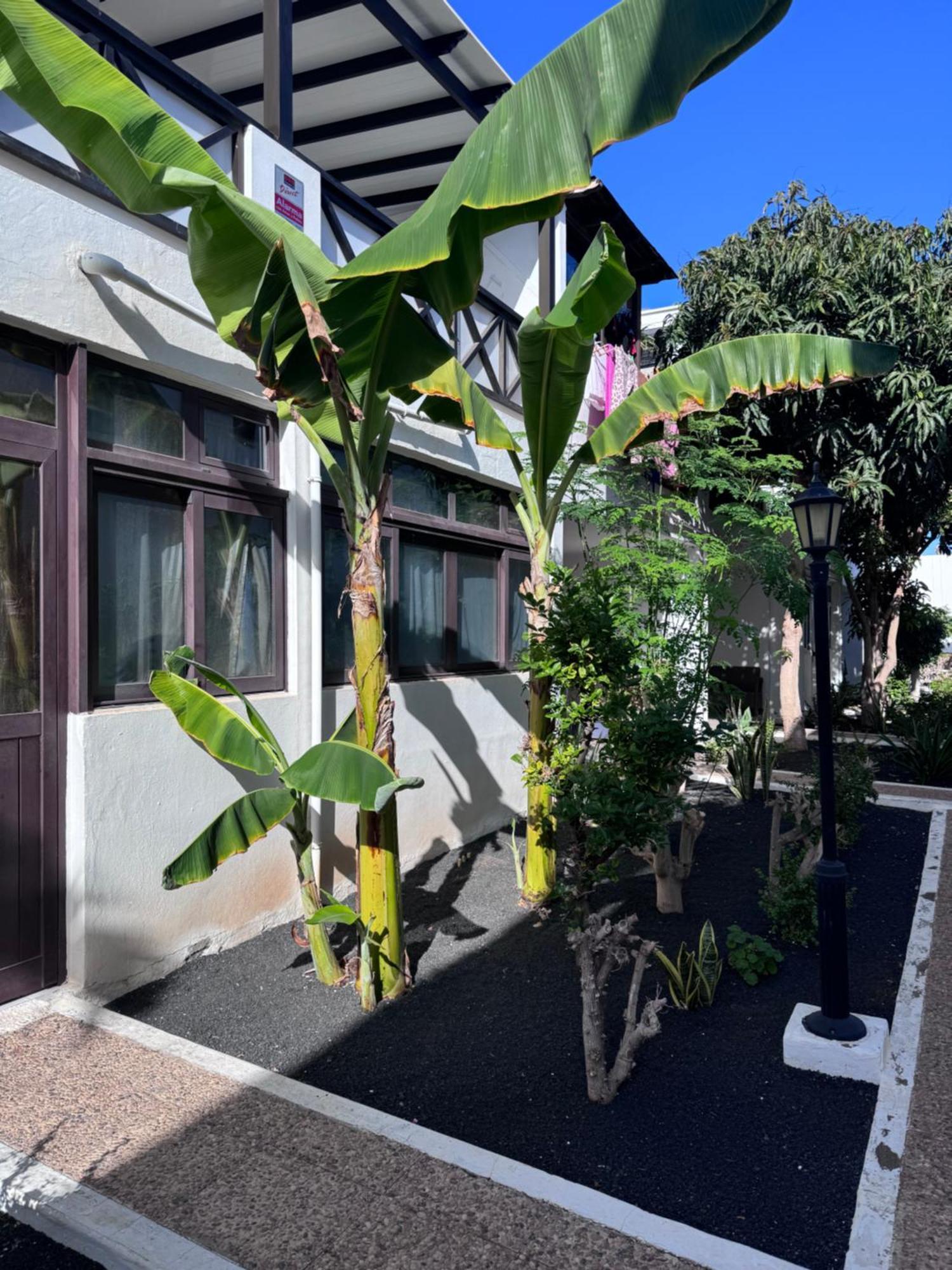 Casa Ana Puerto Del Carmen Apartman Tías Kültér fotó